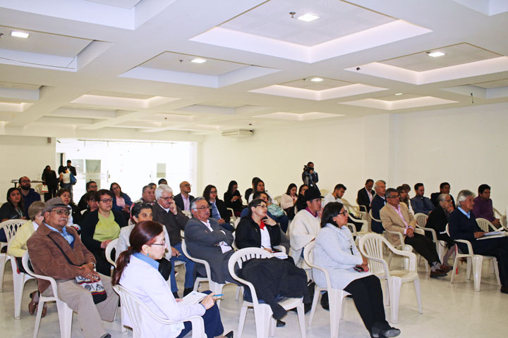 Panel inspección diciembre 2018