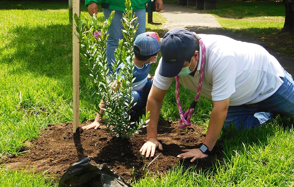 Jornadas de Siembra UPZ 72